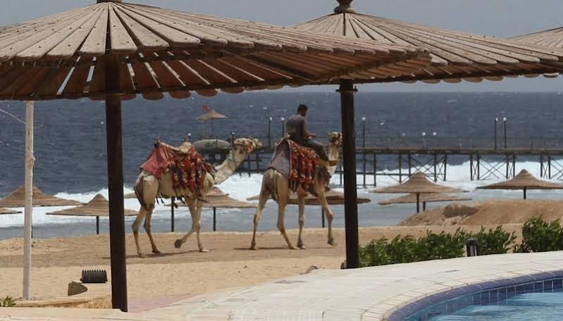 Life Resort Coral Hills El Qoseir Exteriör bild